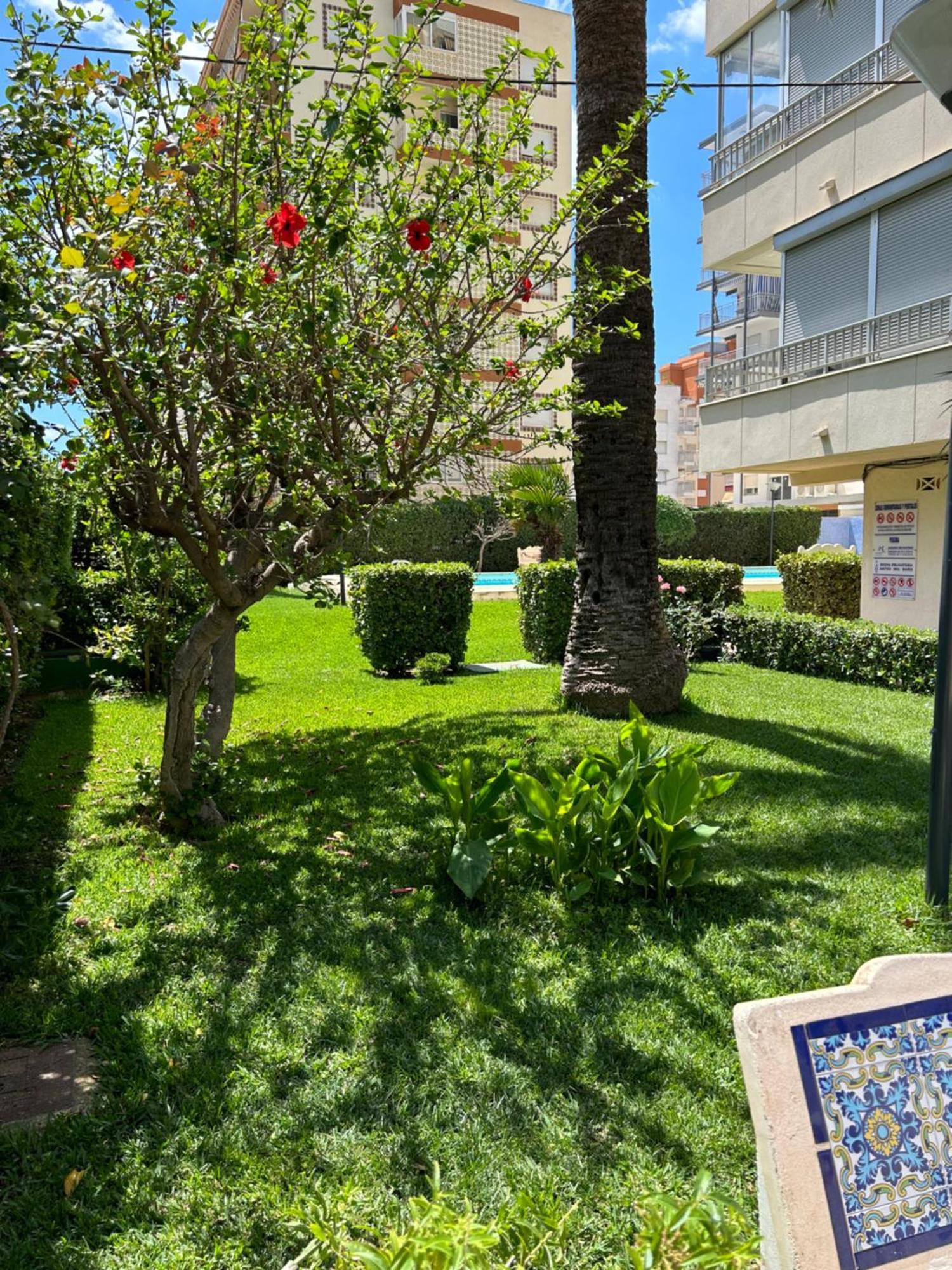 Apartamento Gandia Playa 150M Playa Con Parking Privado Y Piscina Playa de Gandia Dış mekan fotoğraf